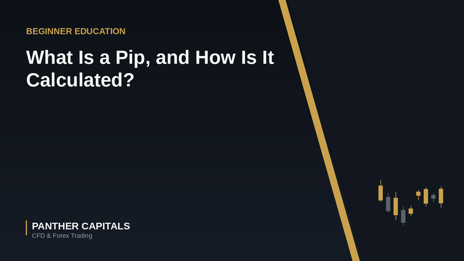 What Is a Pip, and How Is It Calculated?